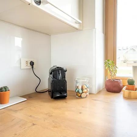 Away From Radovljica