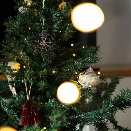 Away From Radovljica