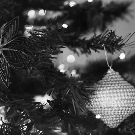 Away From Radovljica